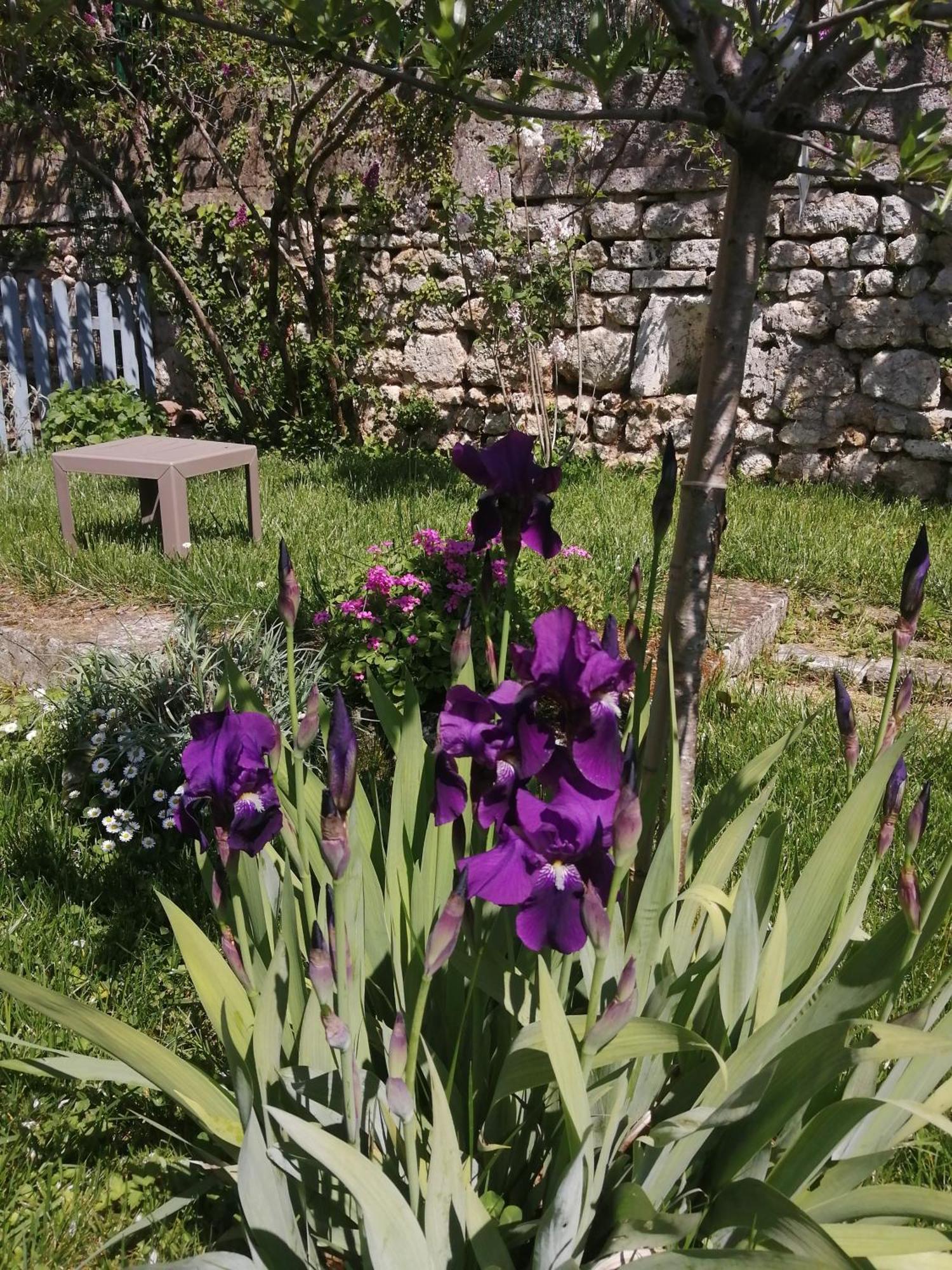 Au Logis De Vechillot Bed & Breakfast Angoulême Dış mekan fotoğraf